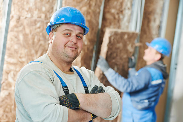 Best Eco-Friendly Insulation in Harrisville, WV