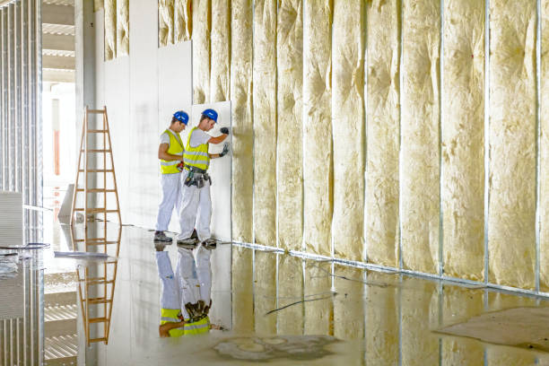 Best Spray Foam Insulation in Harrisville, WV